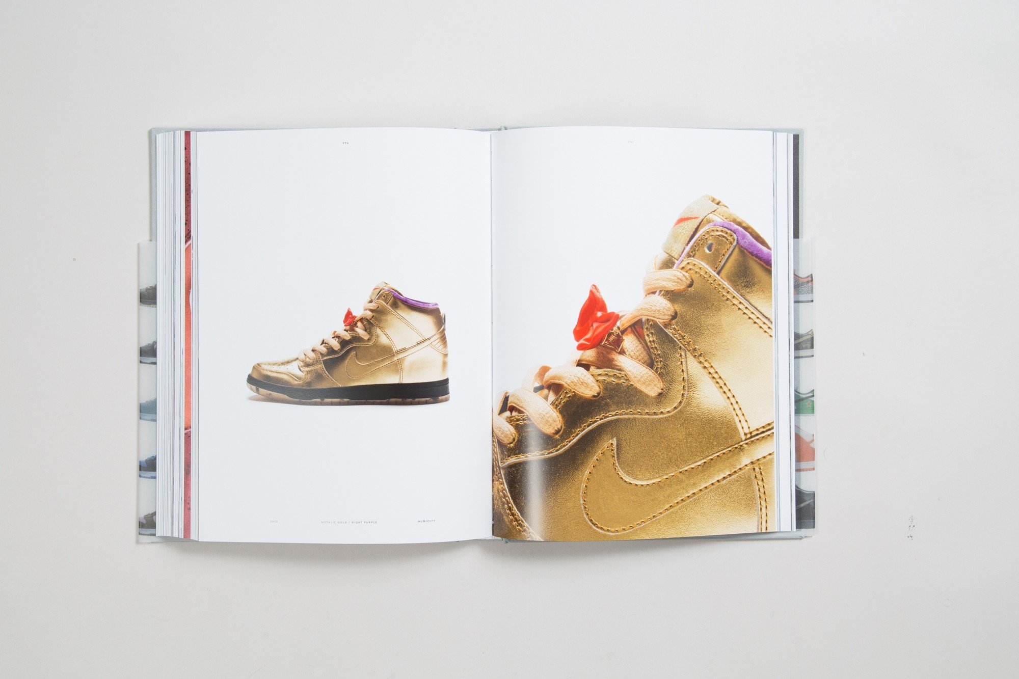 dunk book