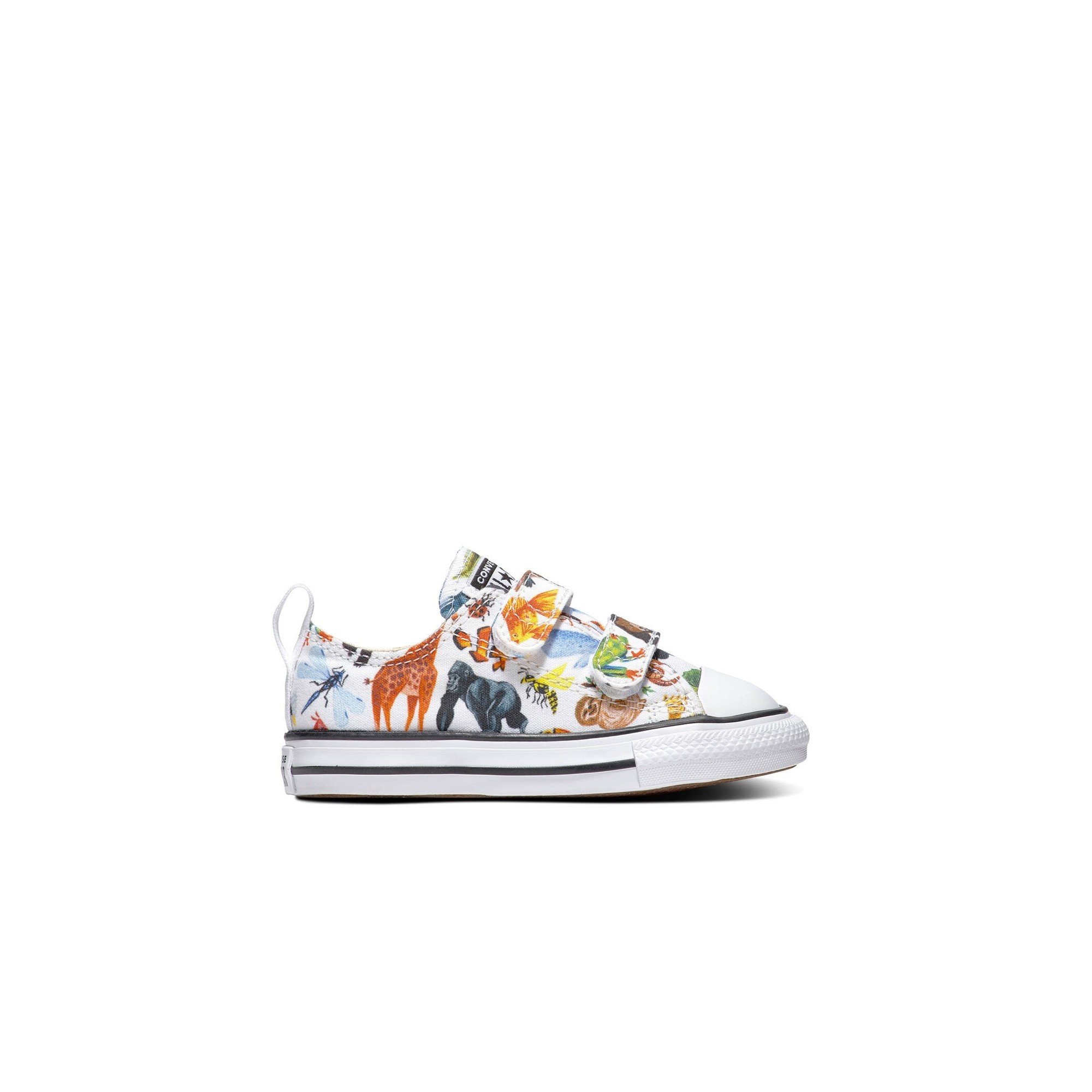 converse egret multi