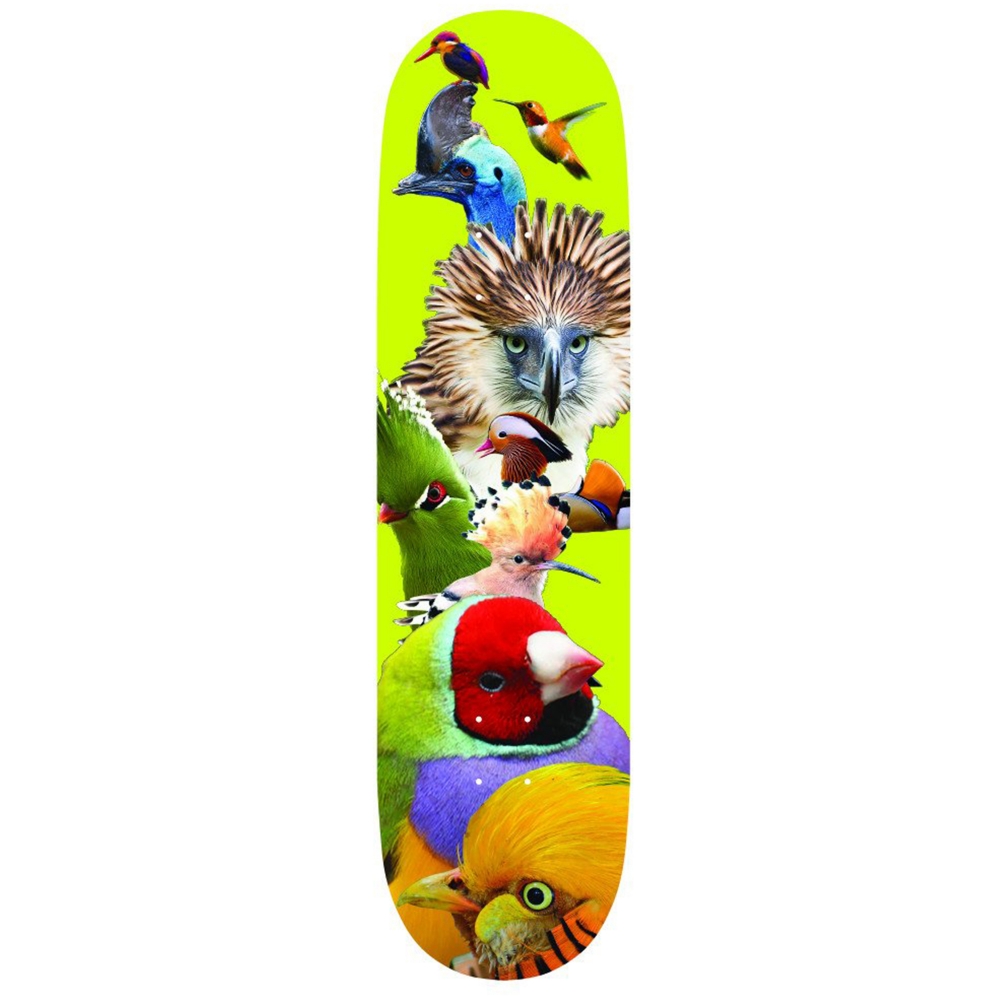 Alltimers Birds Skateboard Deck 8.5"
