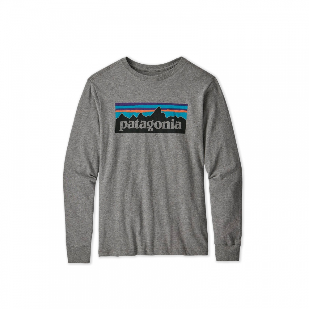Boys' Patagonia Graphic Organic Cotton Long Sleeve T-Shirt (P-6 Logo: Gravel Heather)