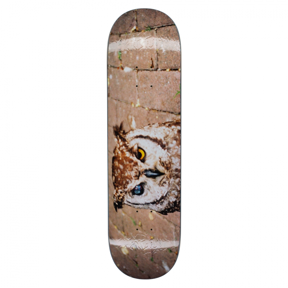 Fucking Awesome Owl Photo Jason Dill Skateboard Deck 8.18"