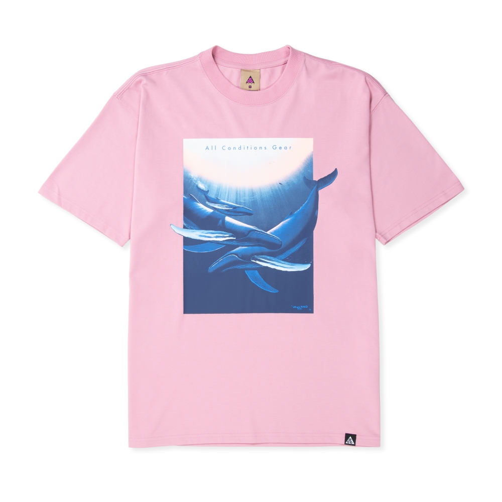 Nike ACG NRG Wyland T-Shirt (Elemental Pink)