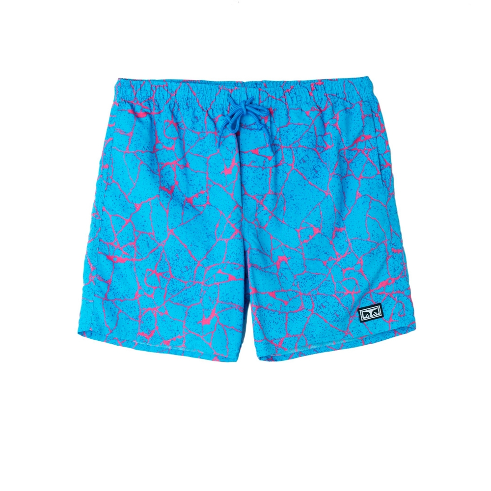 Obey Concrete Dolo Shorts (Cracked Sky Blue)