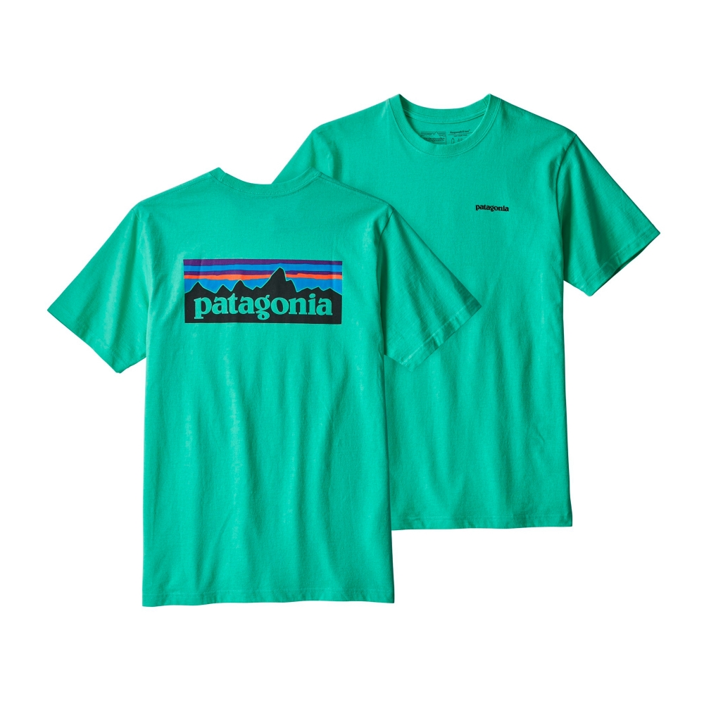 Patagonia P-6 Logo Responsibili-Tee T-Shirt (Vjosa Green)