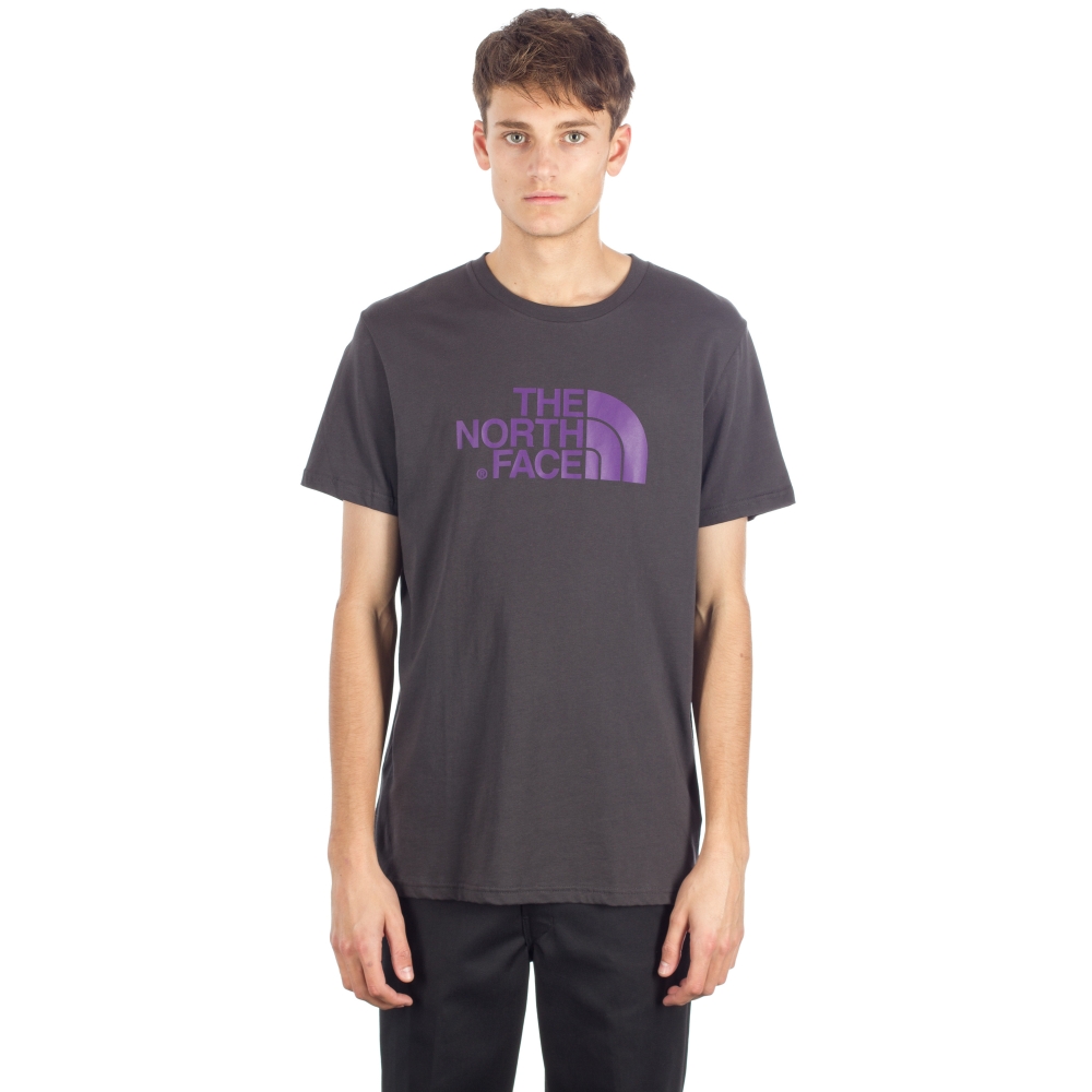 The North Face Easy T-Shirt (Asphalt Grey/Gravity Purple)