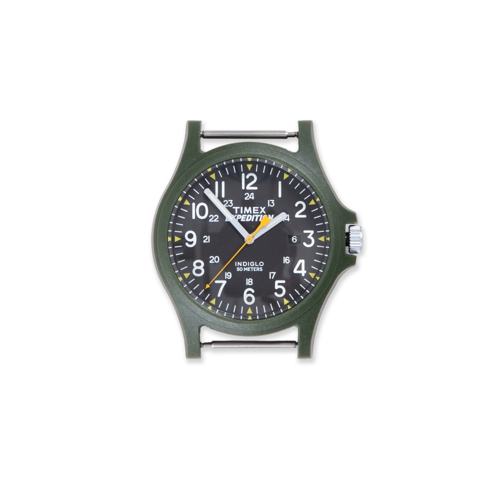 Timex Archive Acadia Watch Head (Green/Black Dial)