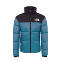 North face iridescent on sale nuptse
