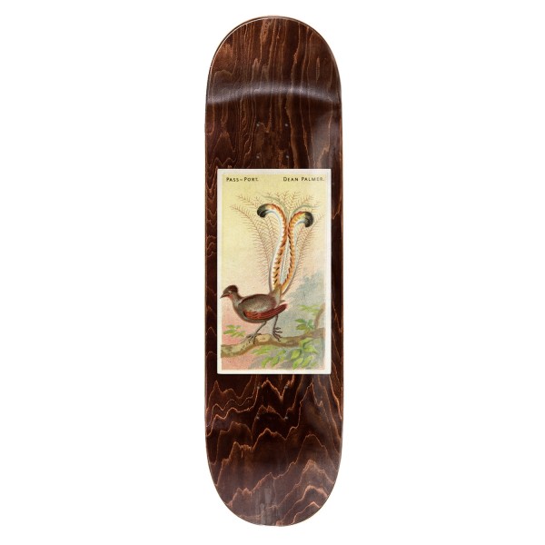 PASS~PORT Dean Lyrebird Skateboard Deck 8.38" (Wood Grain)