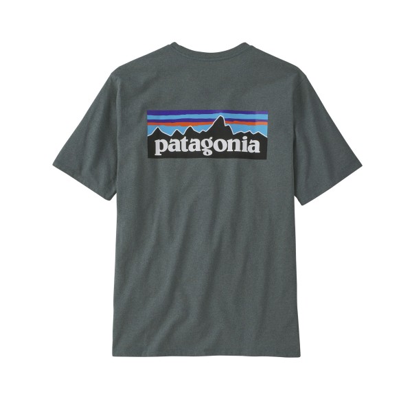 Patagonia P-6 Logo Responsibili-Tee T-Shirt (Nouveau Green)
