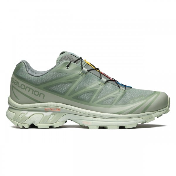 Salomon XT-6 GTX (Desert Sage/Lily Pad/Laurel Wreath)