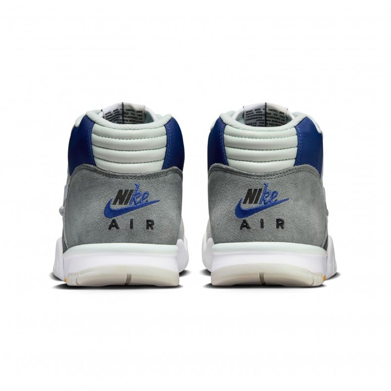 Polar nike sb air trainer 1 clearance