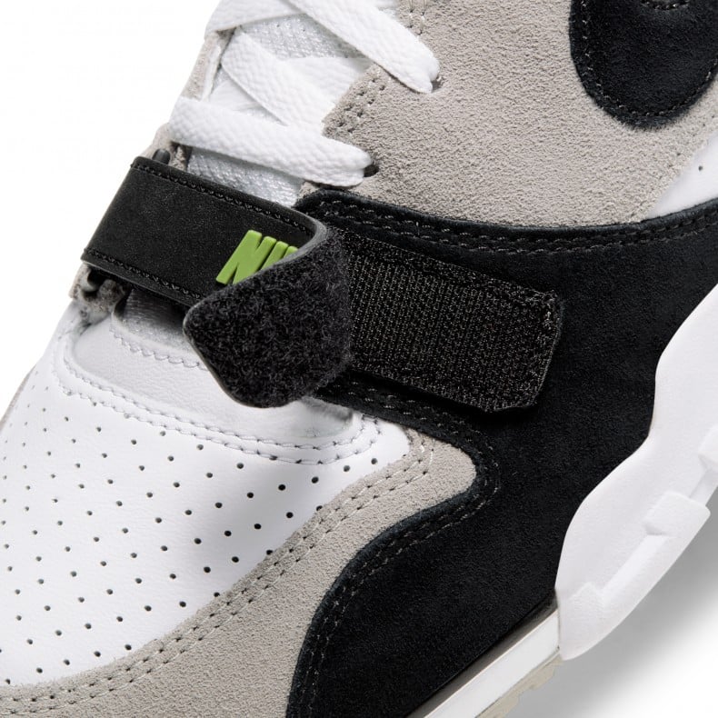 sb trainer 1 chlorophyll