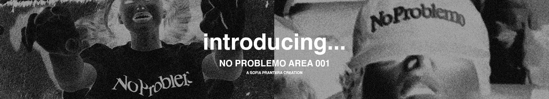 NO PROBLEMO AREA 001